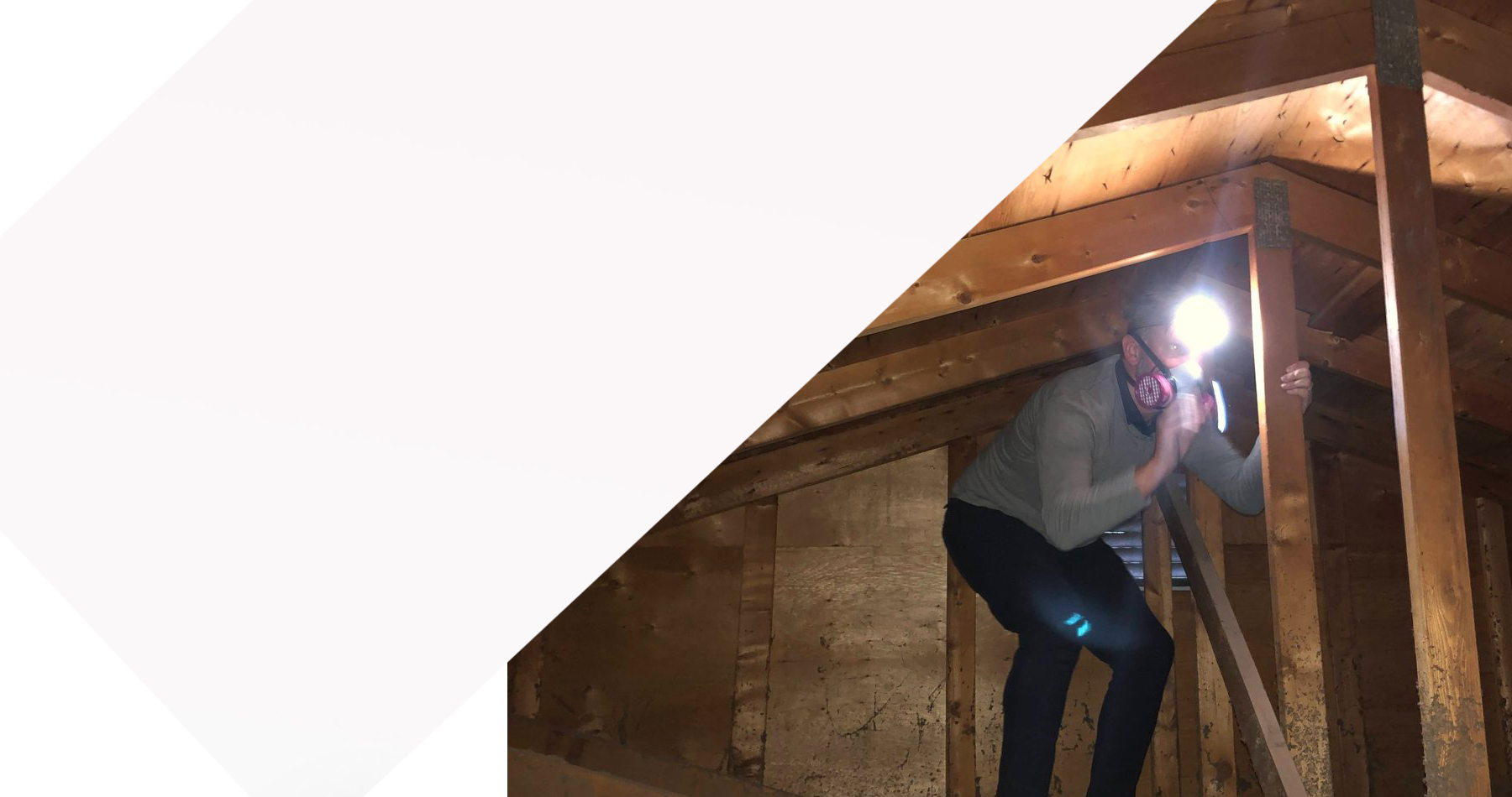 T & M Home Inspectors – Quality, Professional, Highest Standards – Home ... - Luxury Home Inspecteur